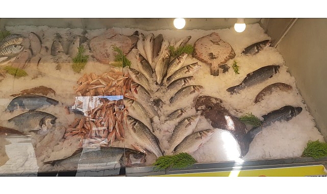 izmirde-su-urunleri-denetimlerinde-ceza-yagdi-yasa-disi-avciliga-gecit-yok-aD1PDvym.jpg
